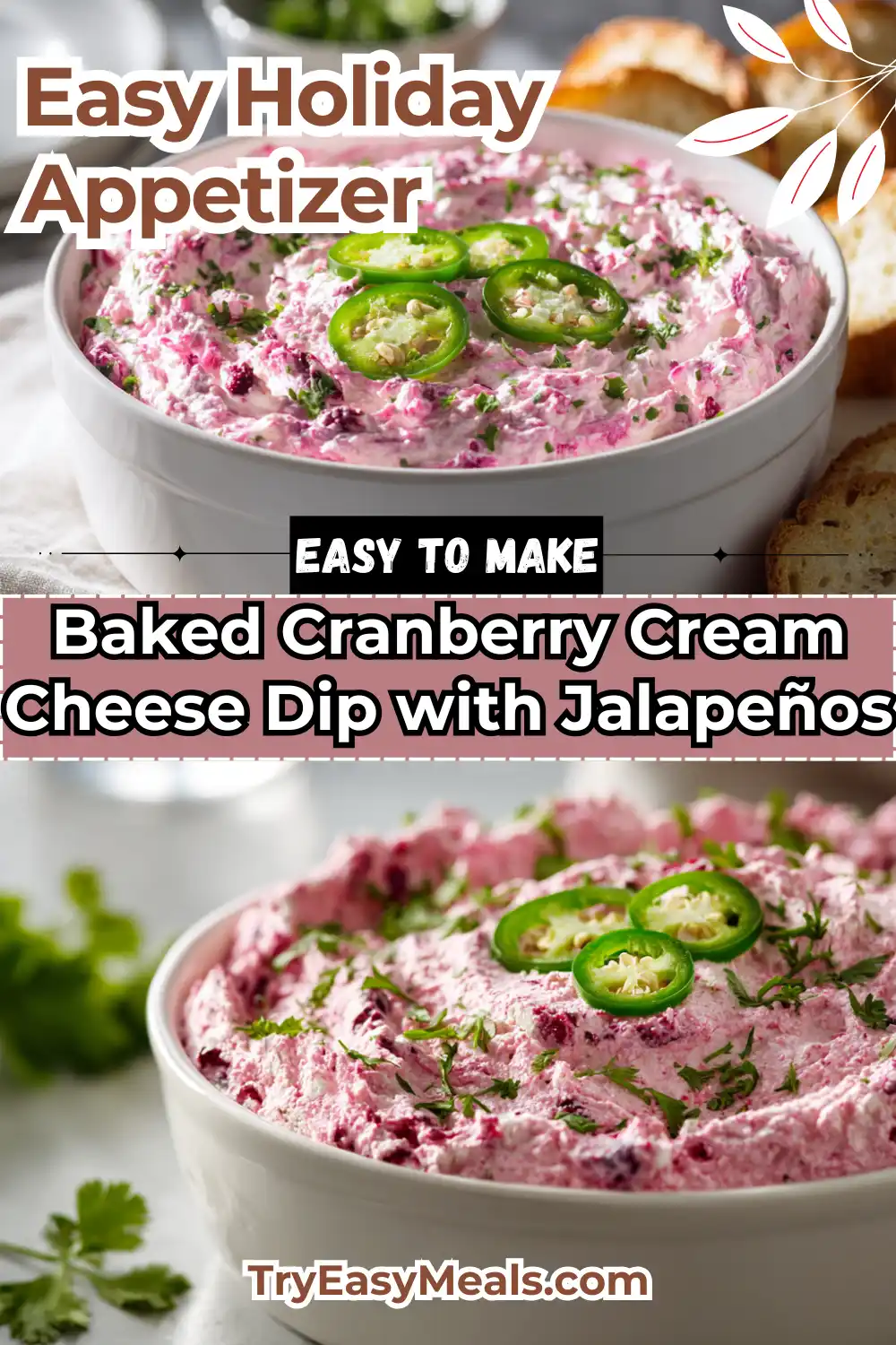 Close up of baked cranberry cream cheese dip with jalapenos topped with fresh herbs and served with crackers