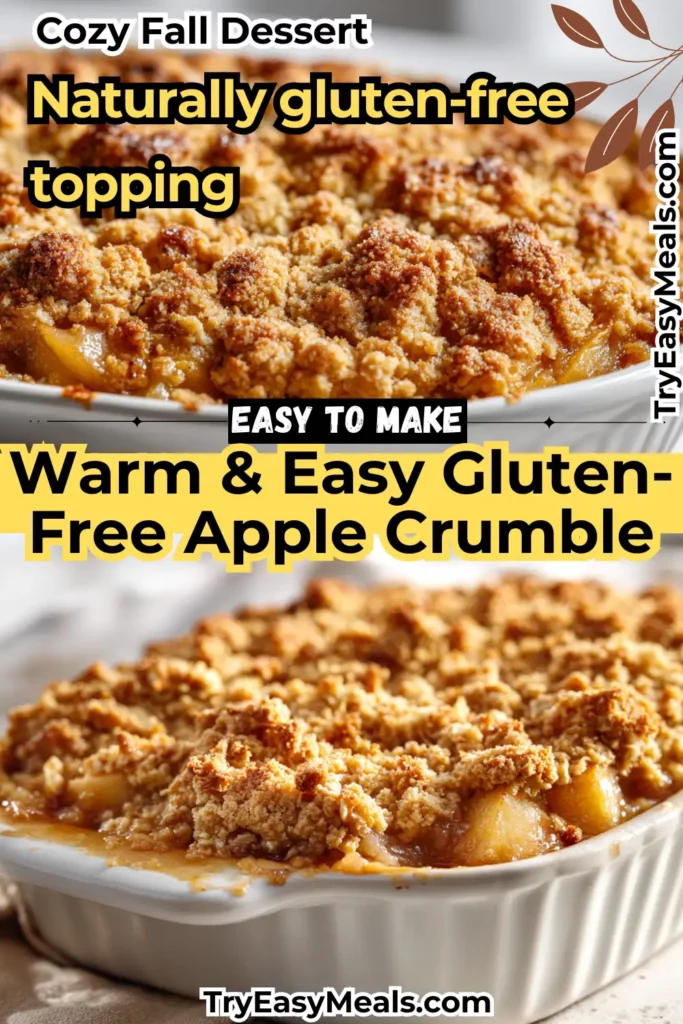 Gluten Free Apple Crumble with Oat Topping warm apple dessert with crunchy oat layer perfect for fall gatherings