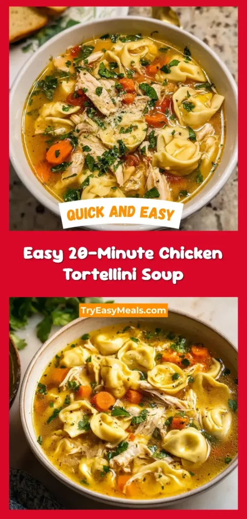 Best Easy 20 Minute Chicken Tortellini Soup