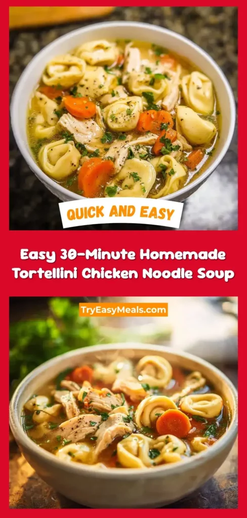Best Easy 30 Minute Homemade Tortellini Chicken Noodle Soup