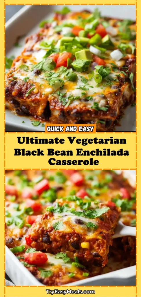 Ultimate Vegetarian Black Bean Enchilada Casserole