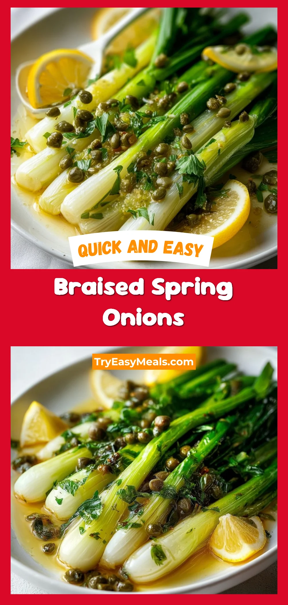 Braised Spring Onions