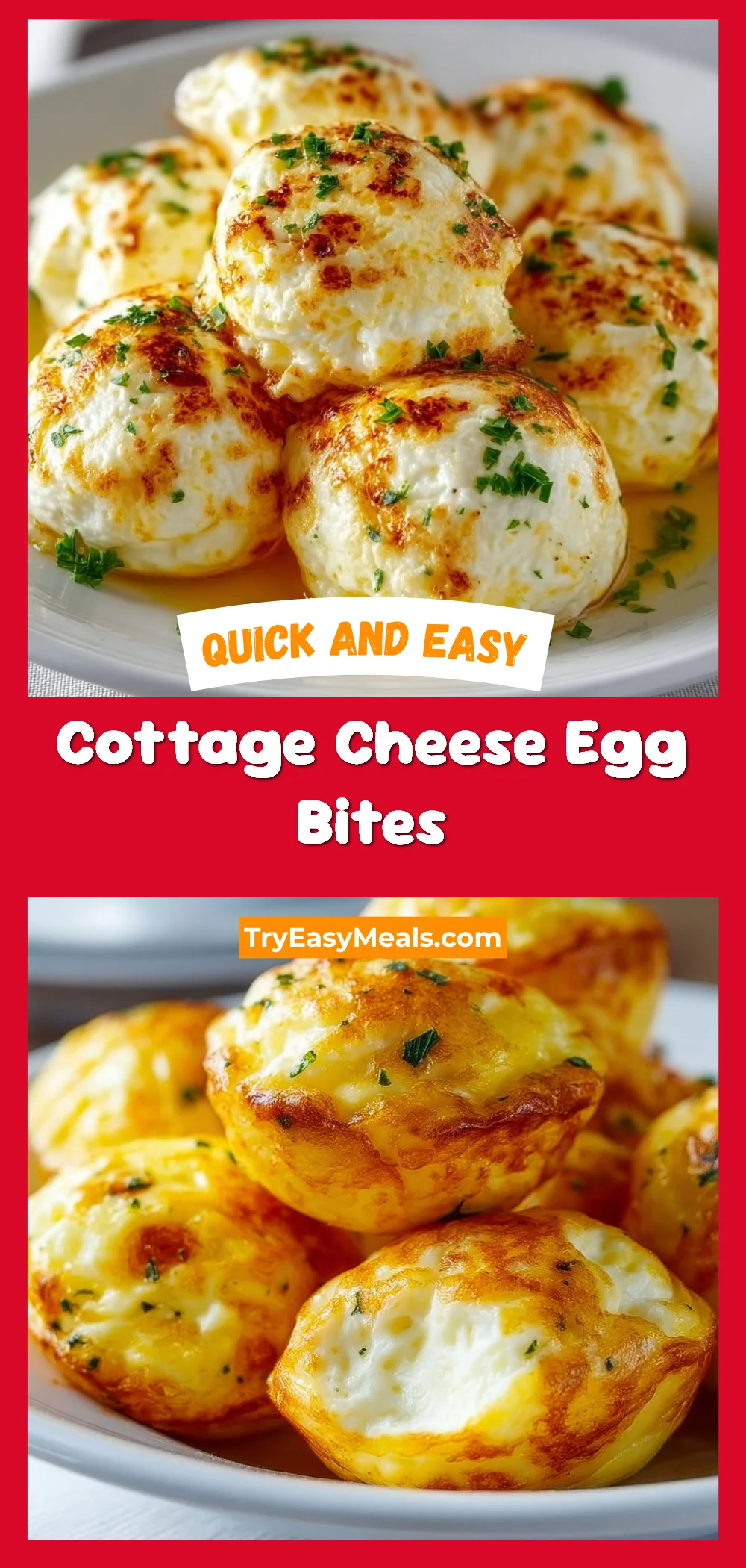 Cottage Cheese Egg Bites