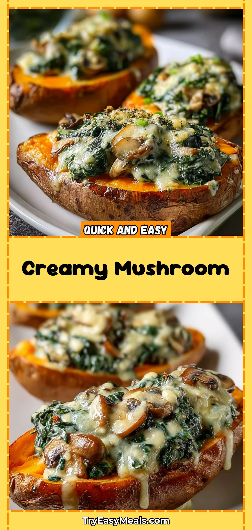 Creamy Mushroom