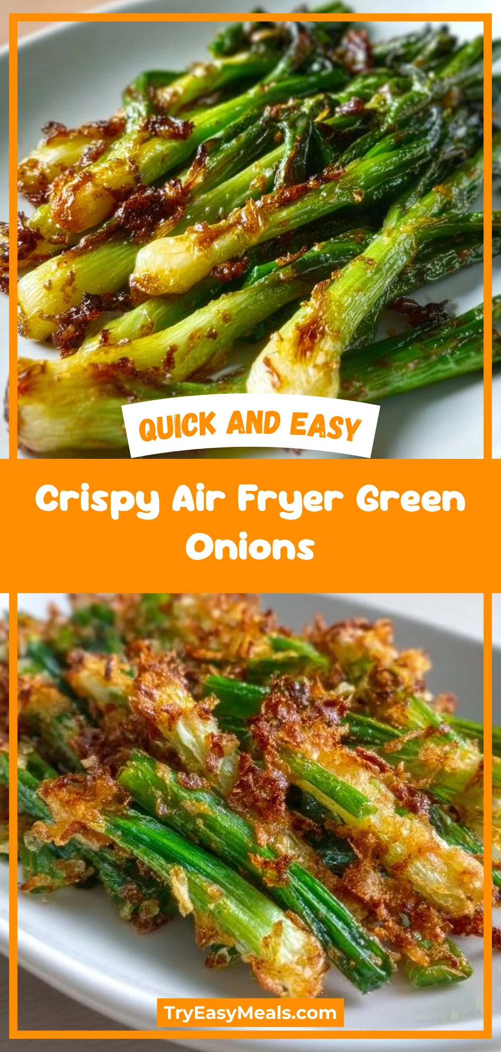 Crispy Air Fryer Green Onions