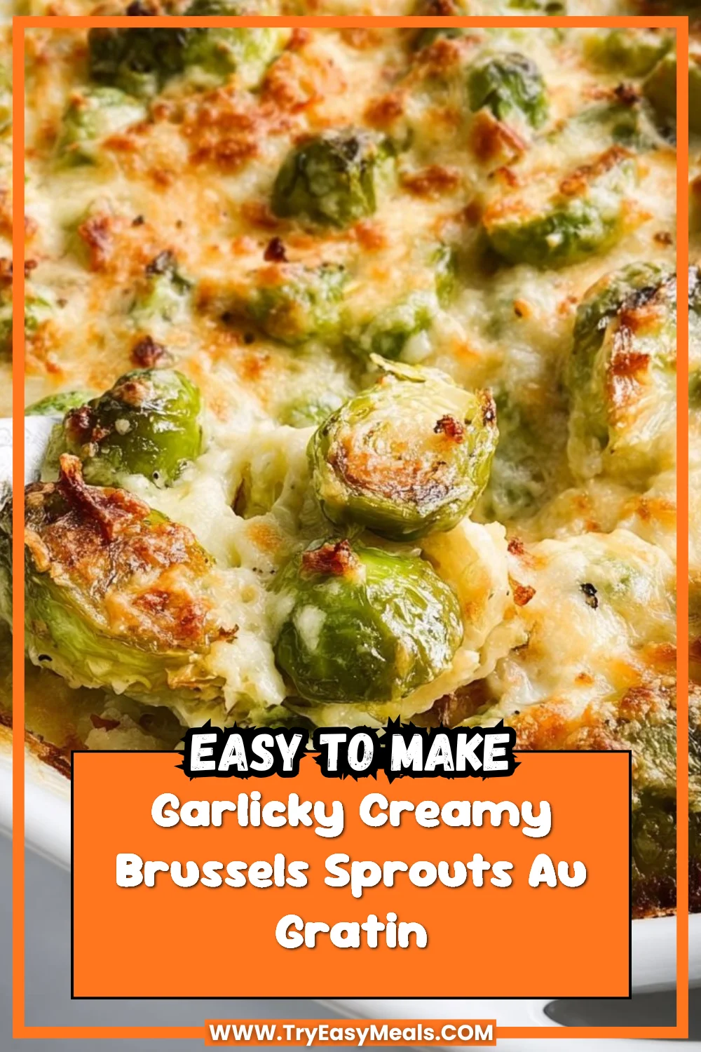 Garlicky Creamy Brussels Sprouts Au Gratin