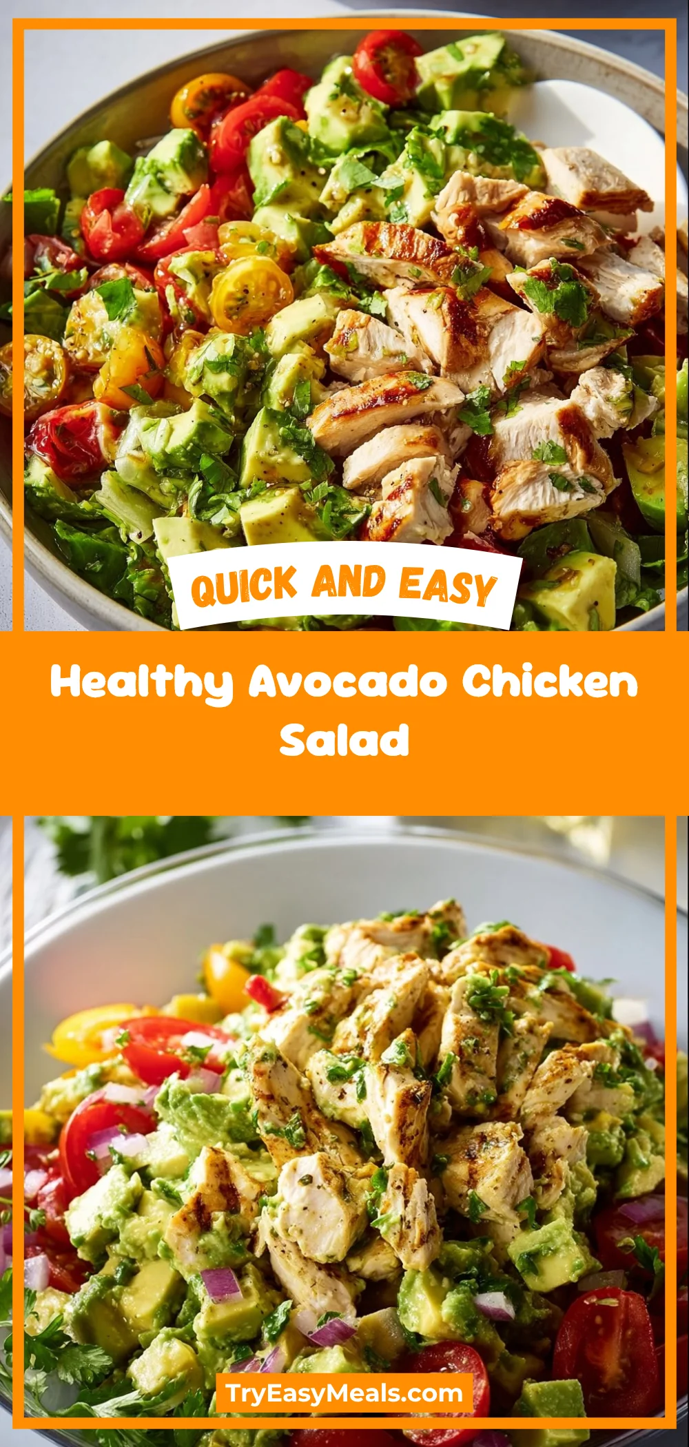 Healthy Avocado Chicken Salad