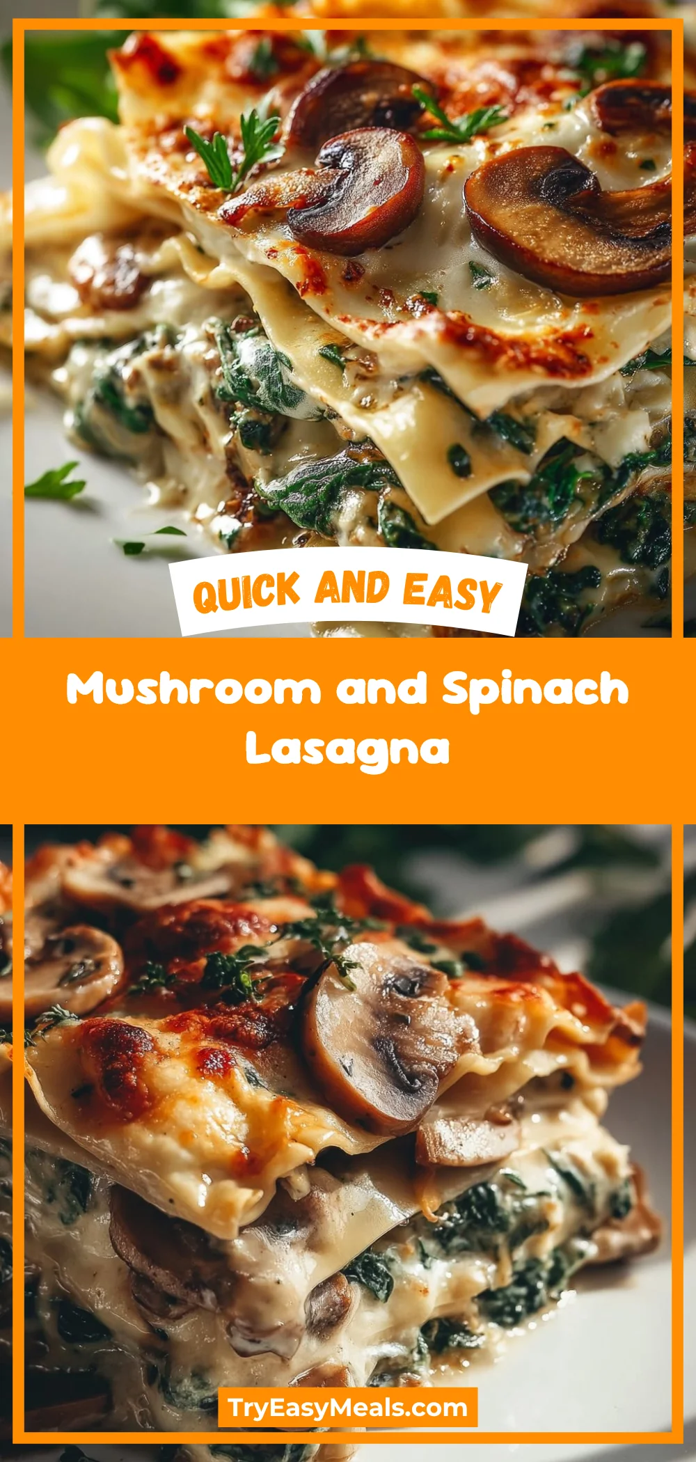 Mushroom and Spinach Lasagna