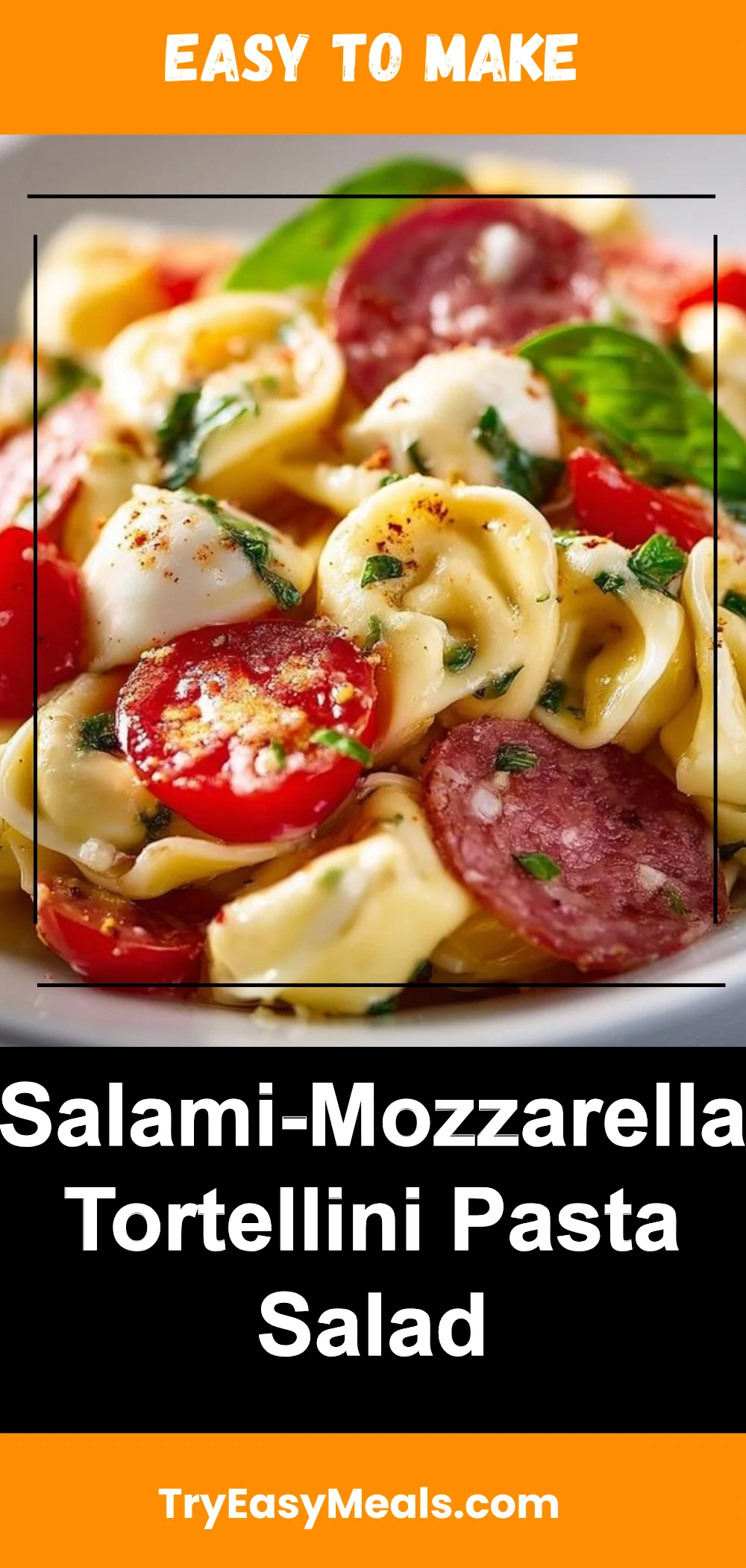 Salami-Mozzarella Tortellini Pasta Salad