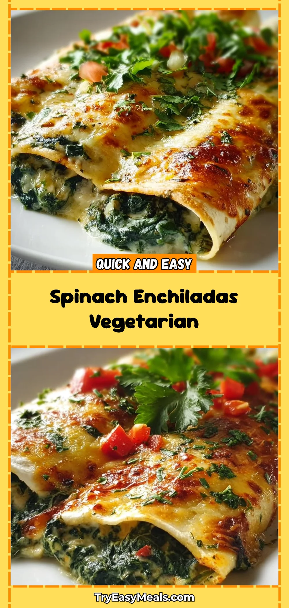 Spinach Enchiladas Vegetarian