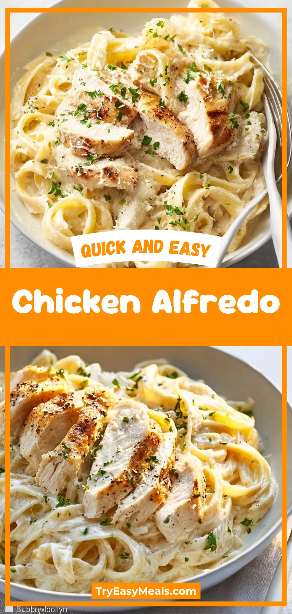 Chicken Alfredo