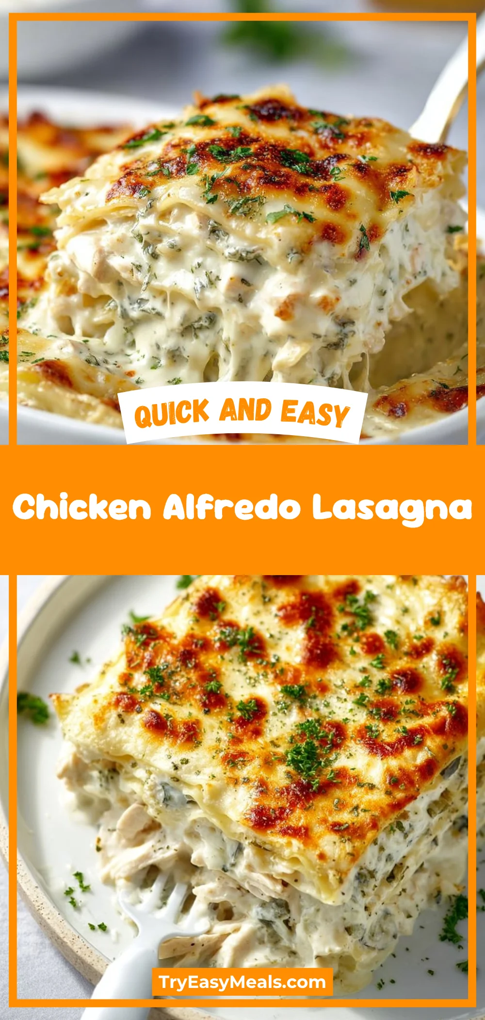 Chicken Alfredo Lasagna
