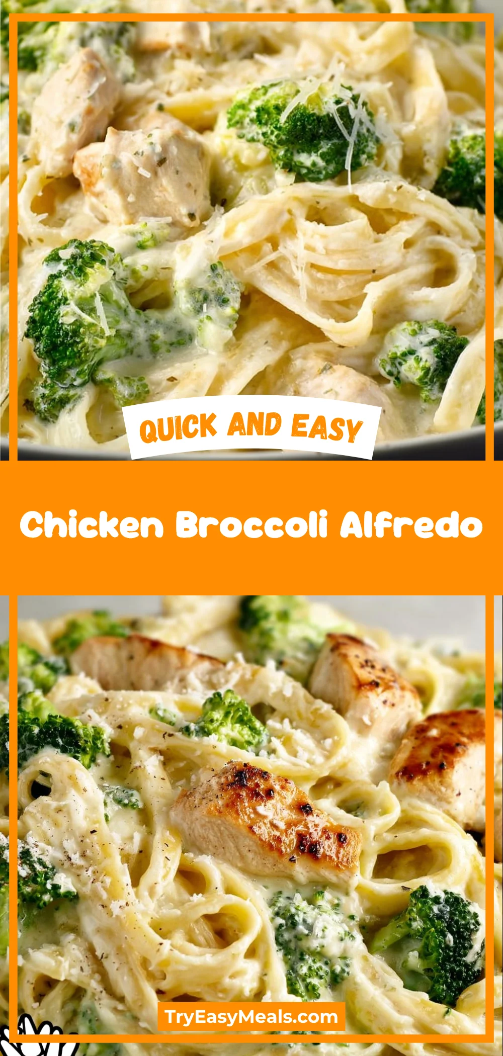Chicken Broccoli Alfredo