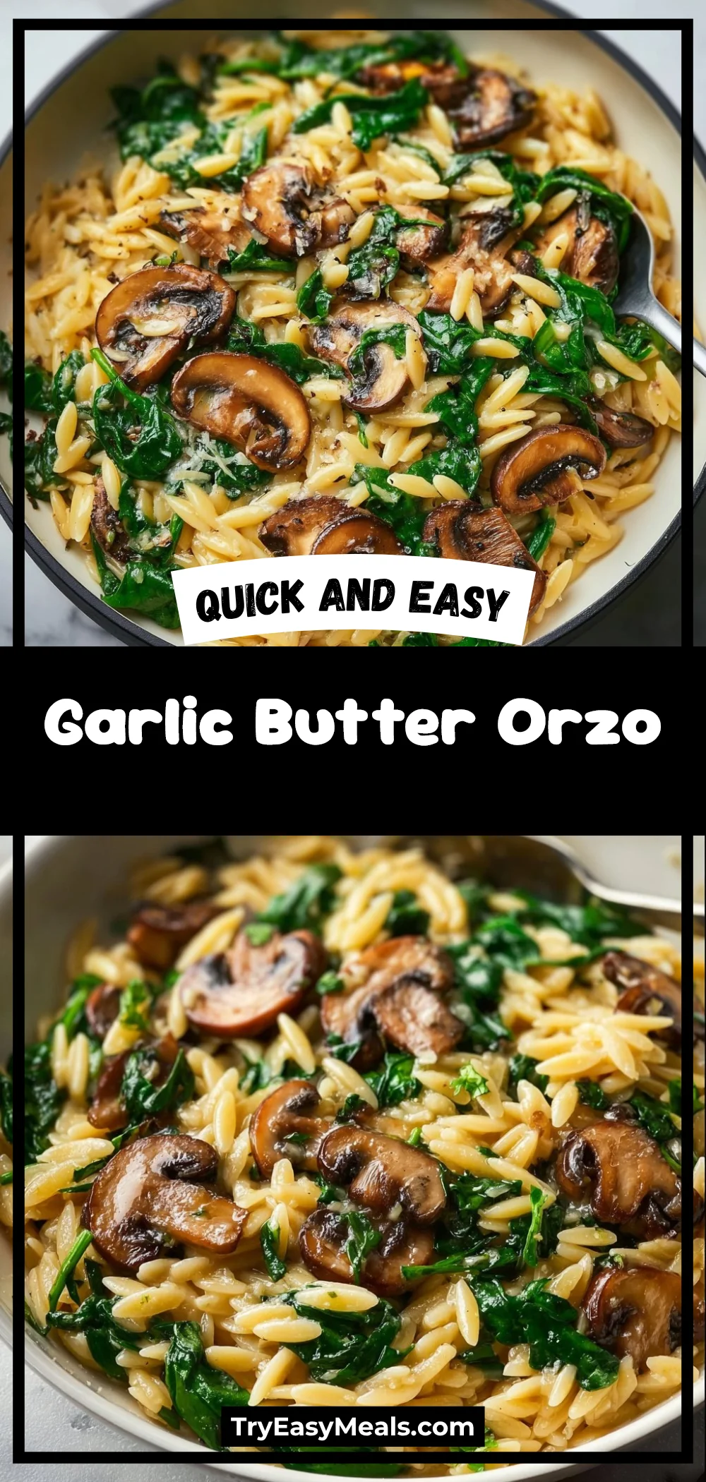 Garlic Butter Orzo