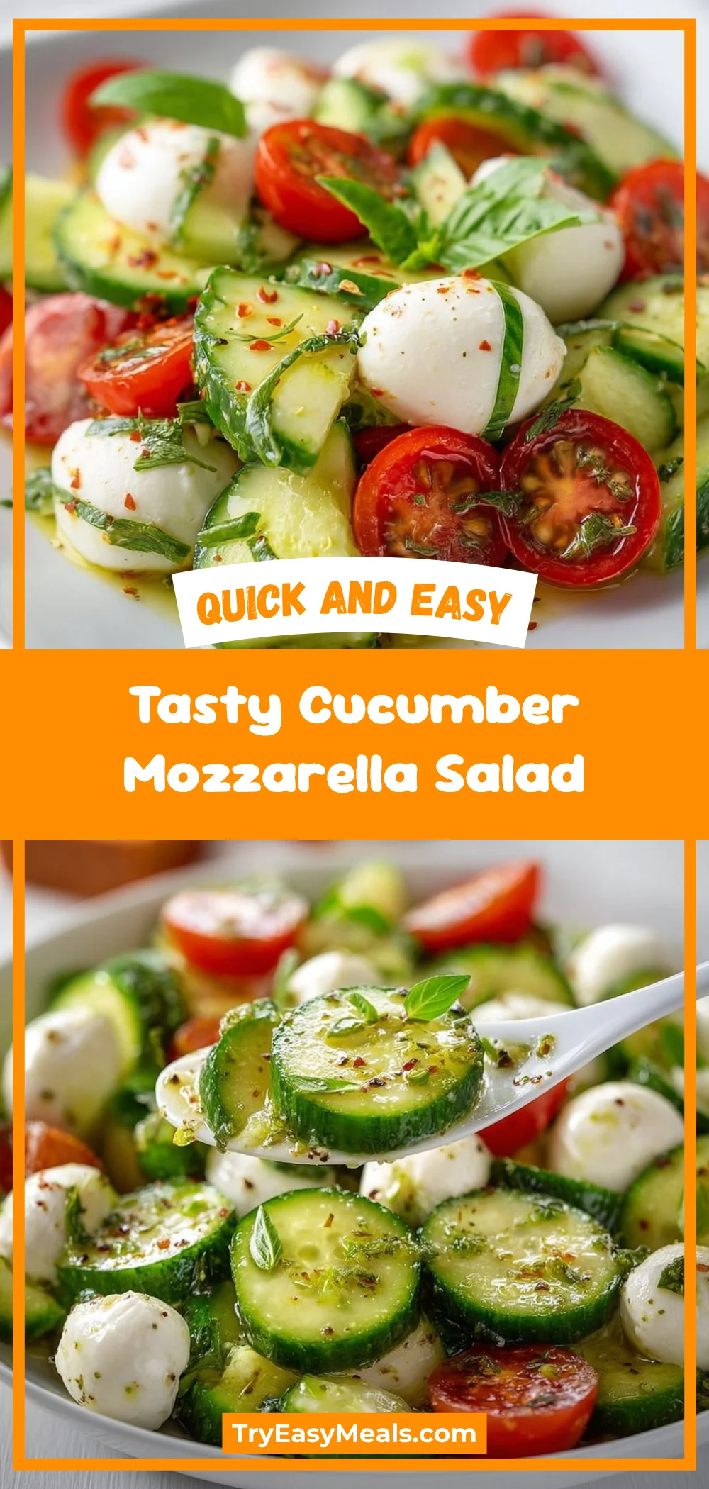 Tasty Cucumber Mozzarella Salad