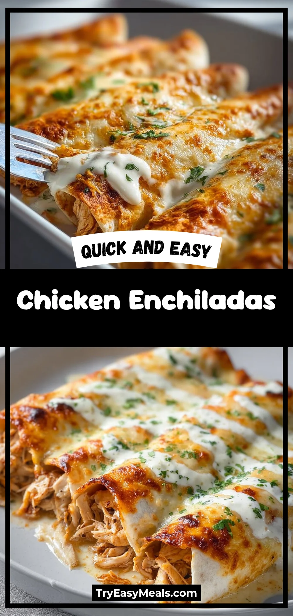 Chicken Enchiladas