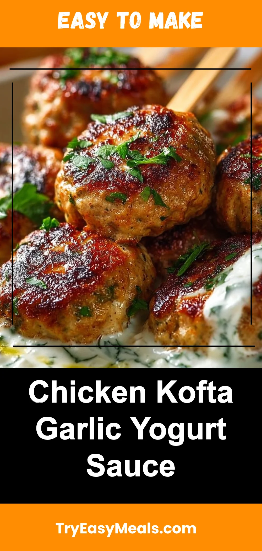 Chicken Kofta Garlic Yogurt Sauce