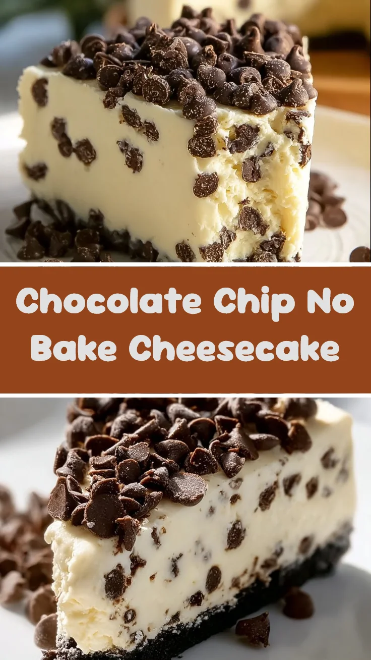 Chocolate Chip No Bake Cheesecake