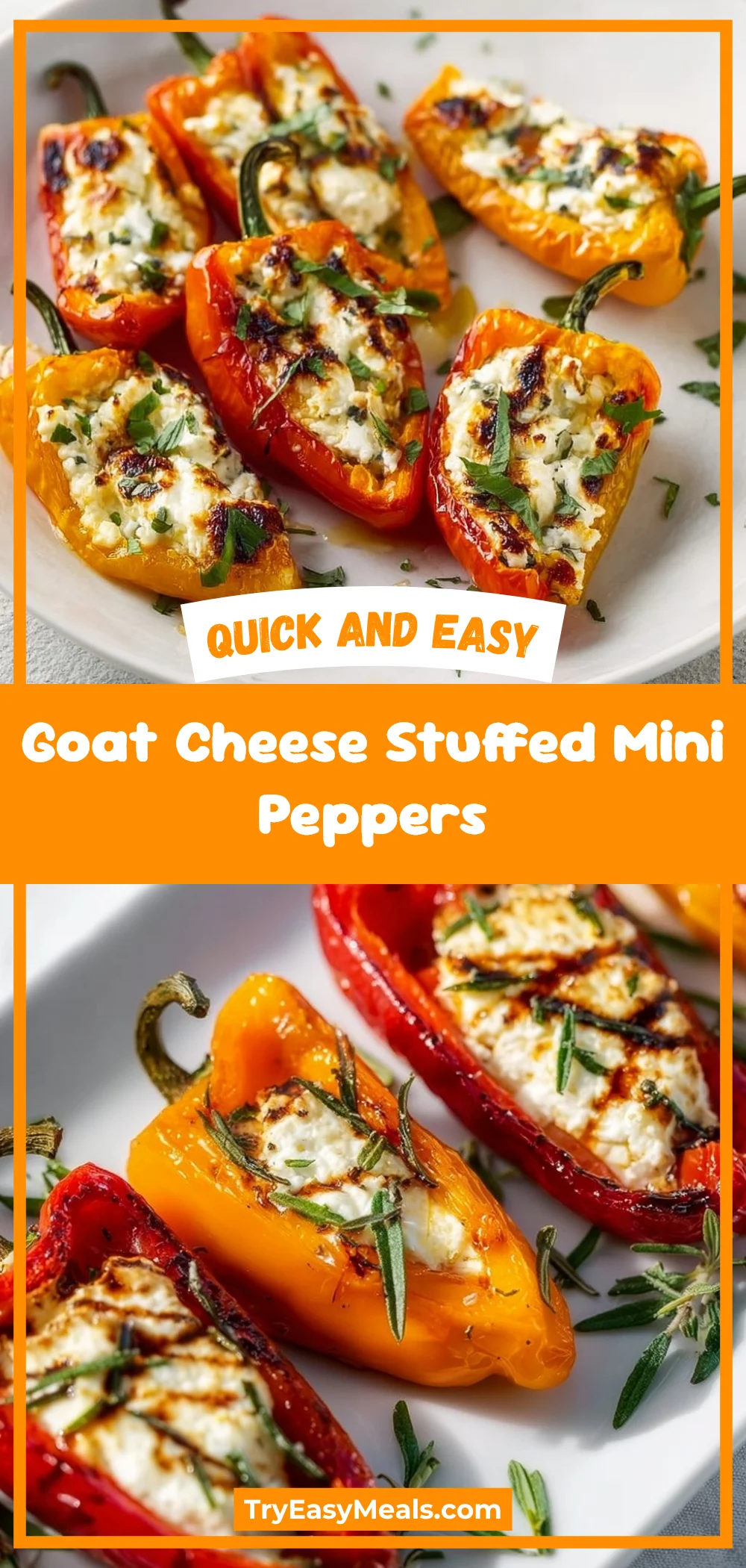 Goat Cheese Stuffed Mini Peppers
