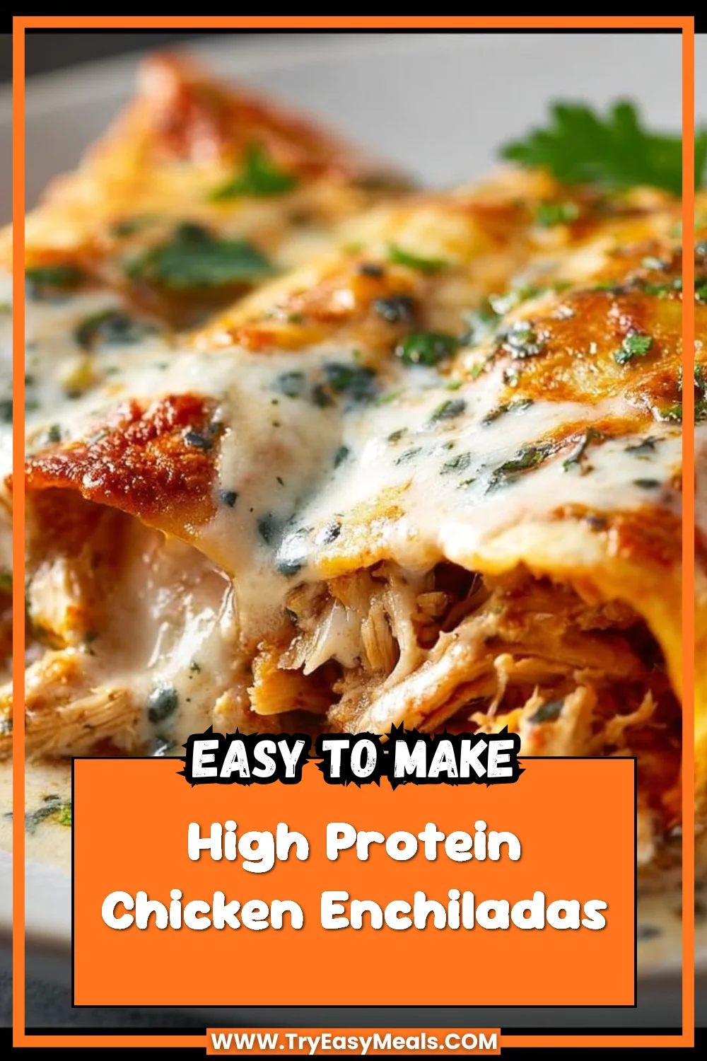 High Protein Chicken Enchiladas