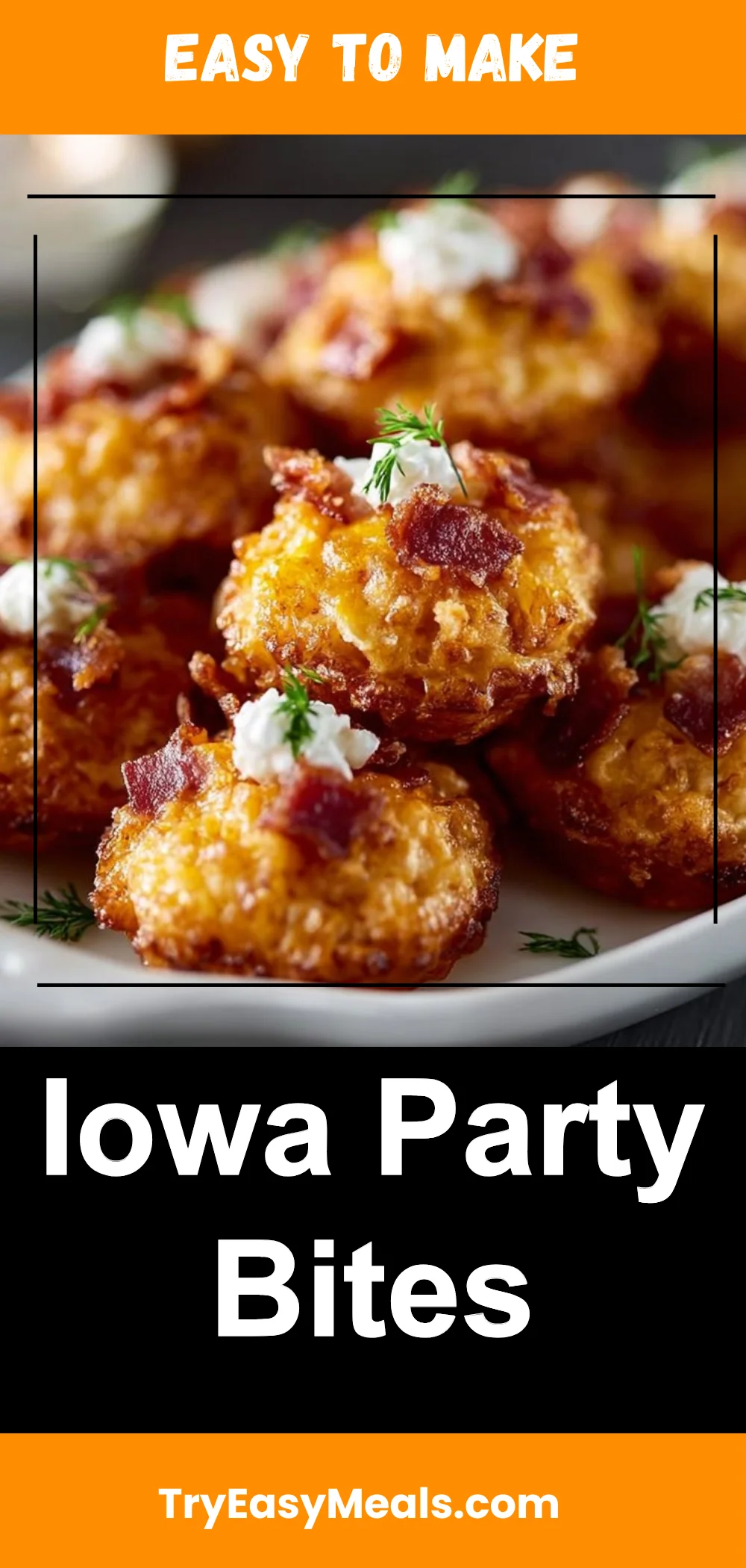 Iowa Party Bites
