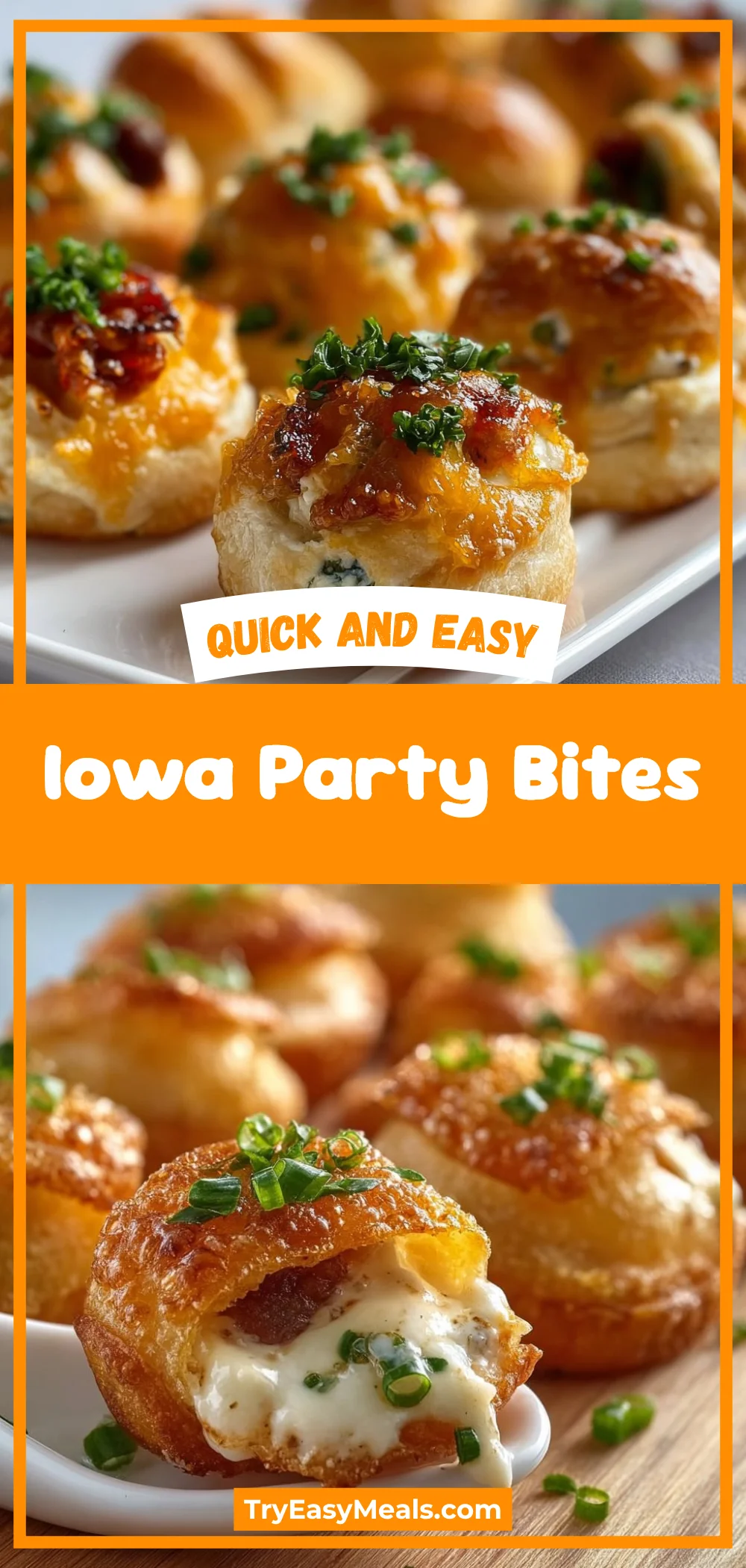 Iowa Party Bites