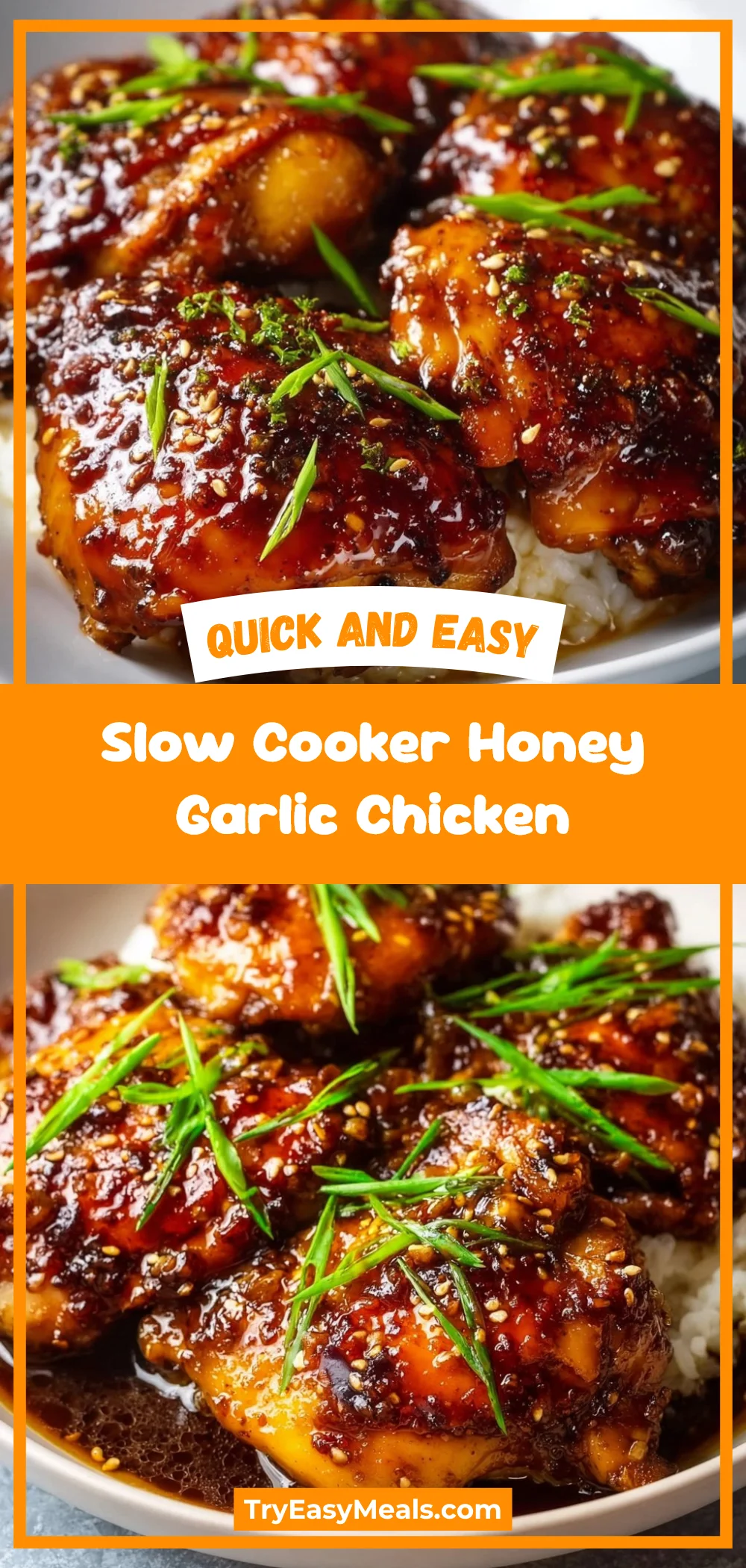 Slow Cooker Honey Garlic Chicken