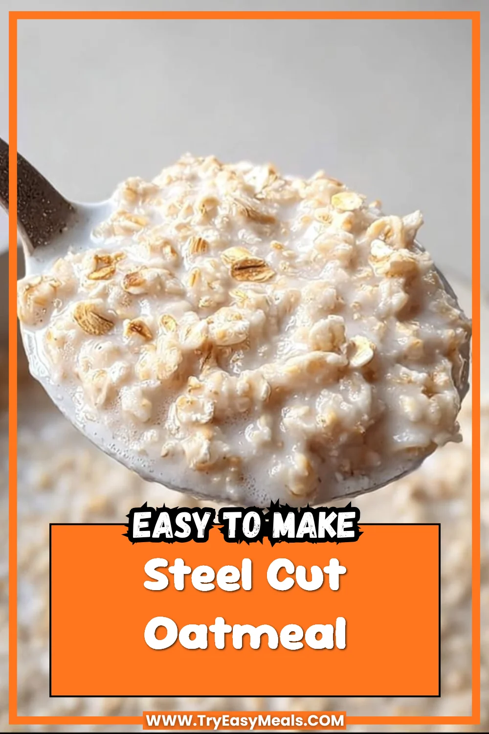 Steel Cut Oatmeal
