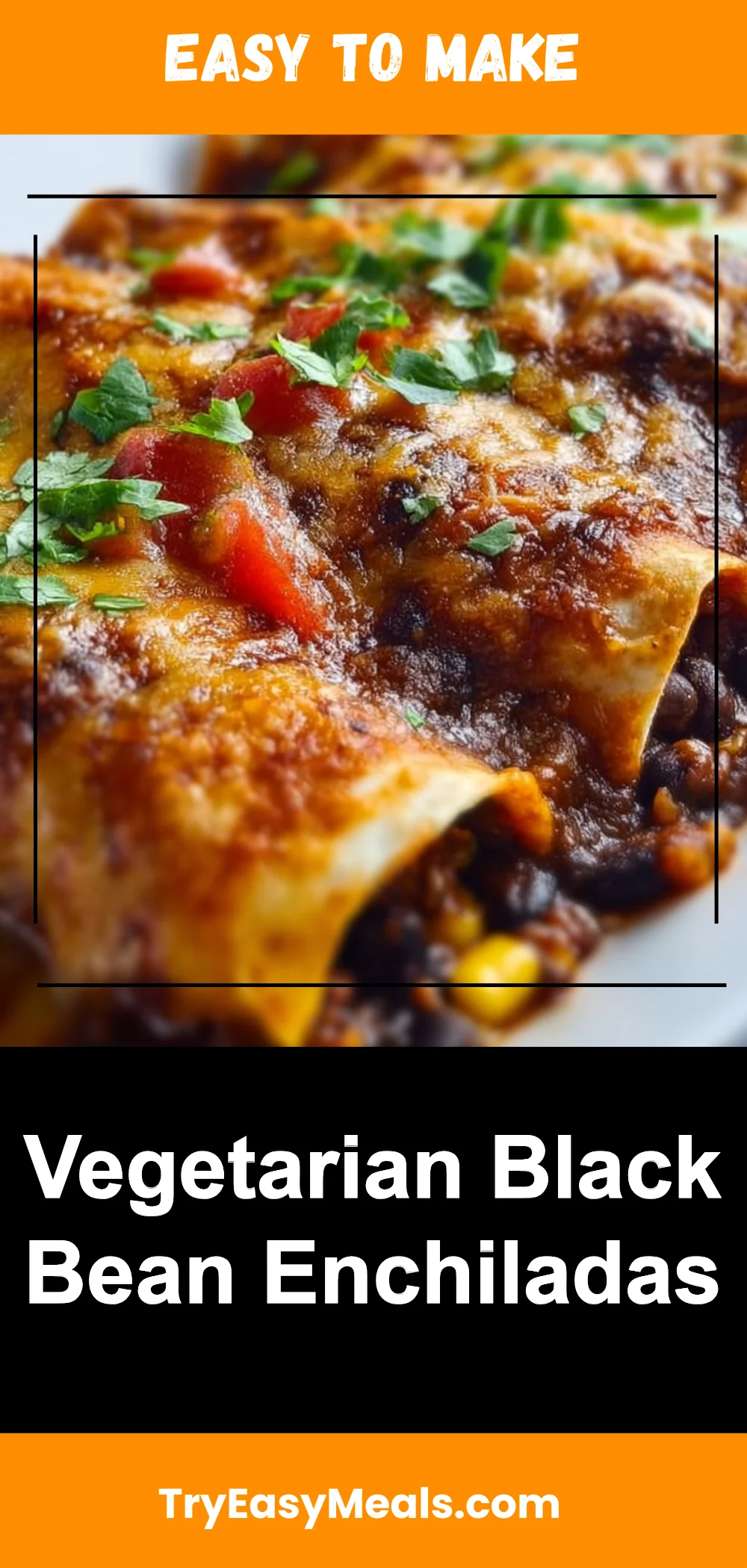 Vegetarian Black Bean Enchiladas
