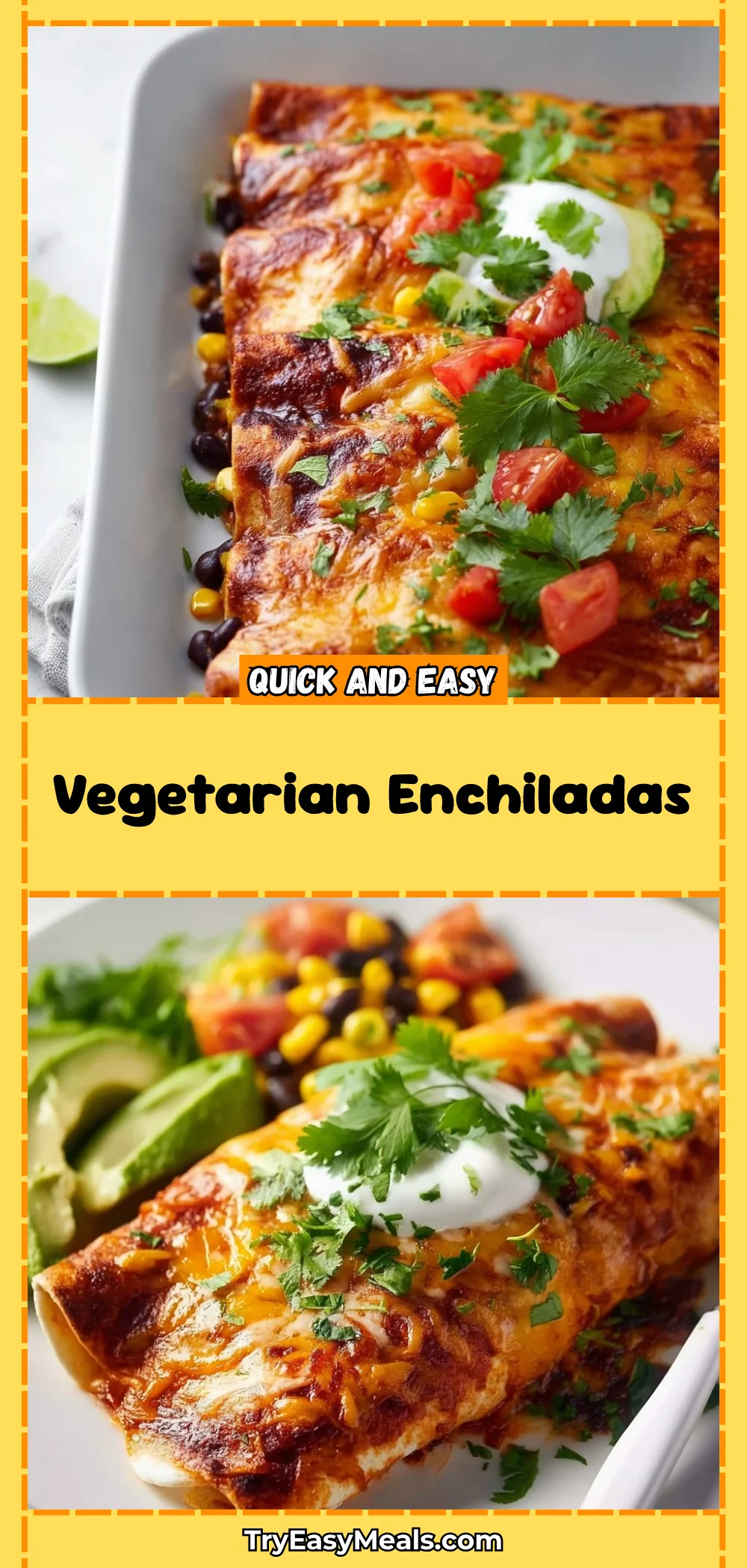 Vegetarian Enchiladas