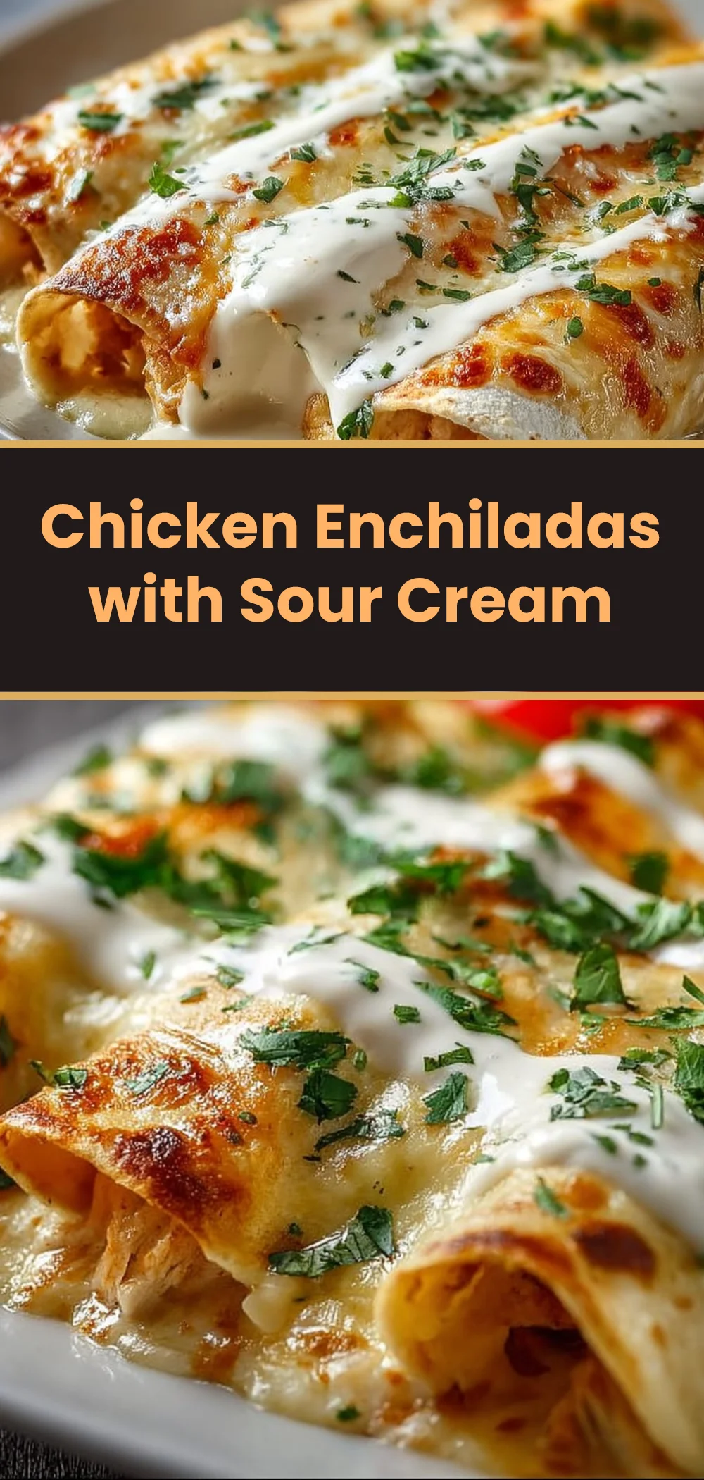 Chicken Enchiladas with Sour Cream