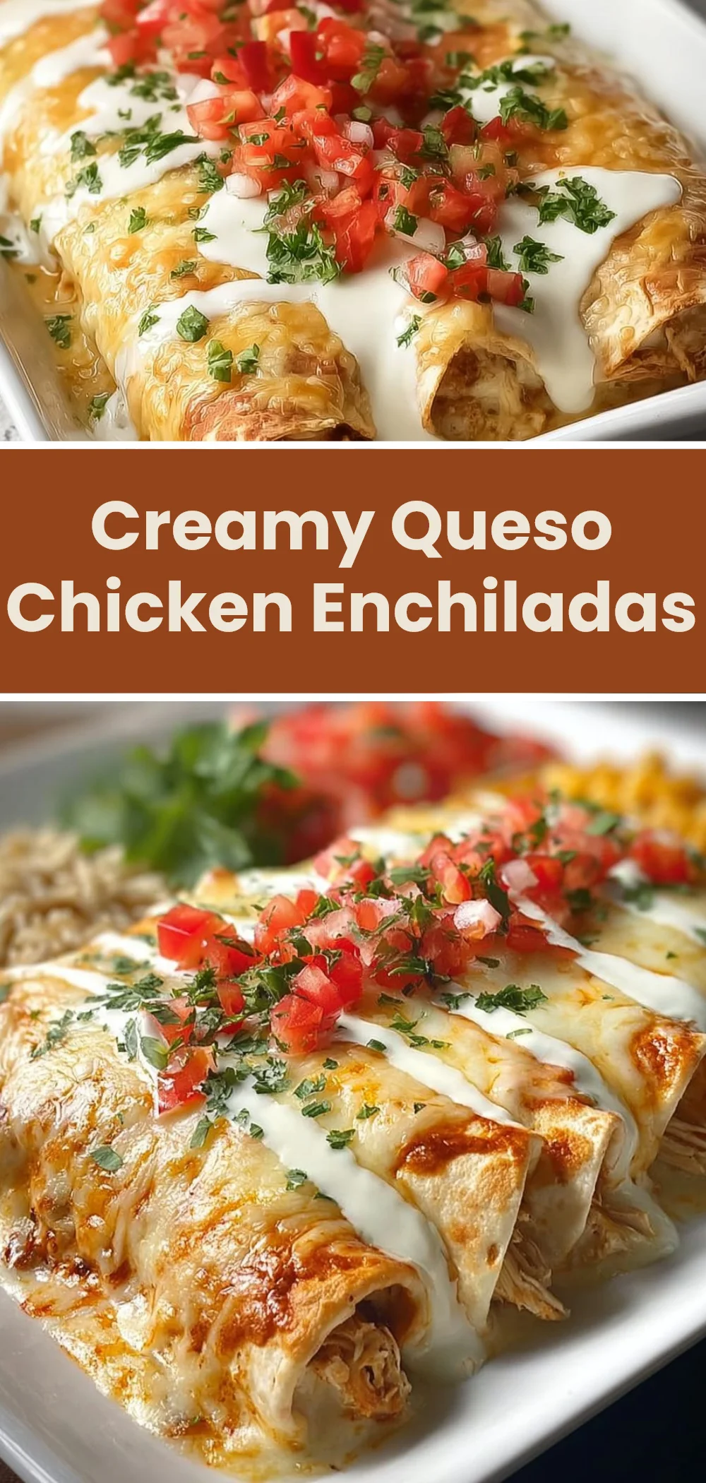 Creamy Queso Chicken Enchiladas