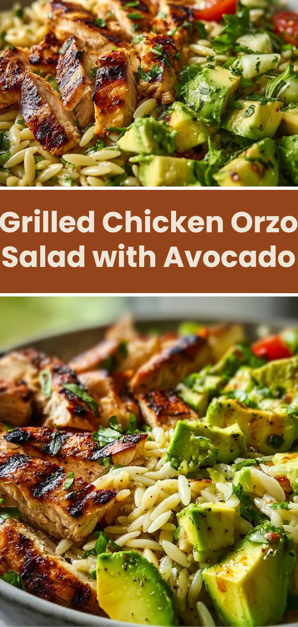 Grilled Chicken Orzo Salad with Avocado