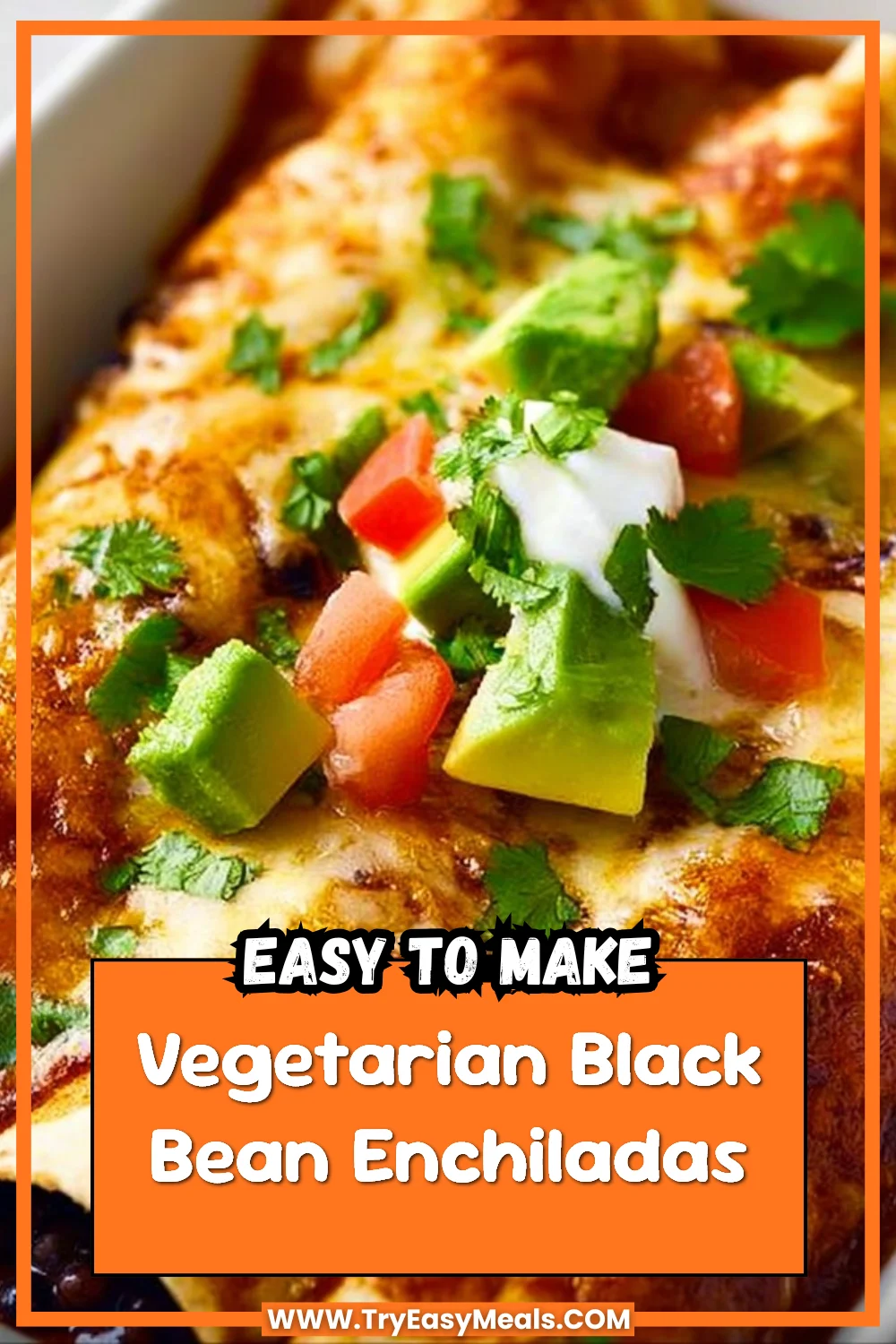 Vegetarian Black Bean Enchiladas