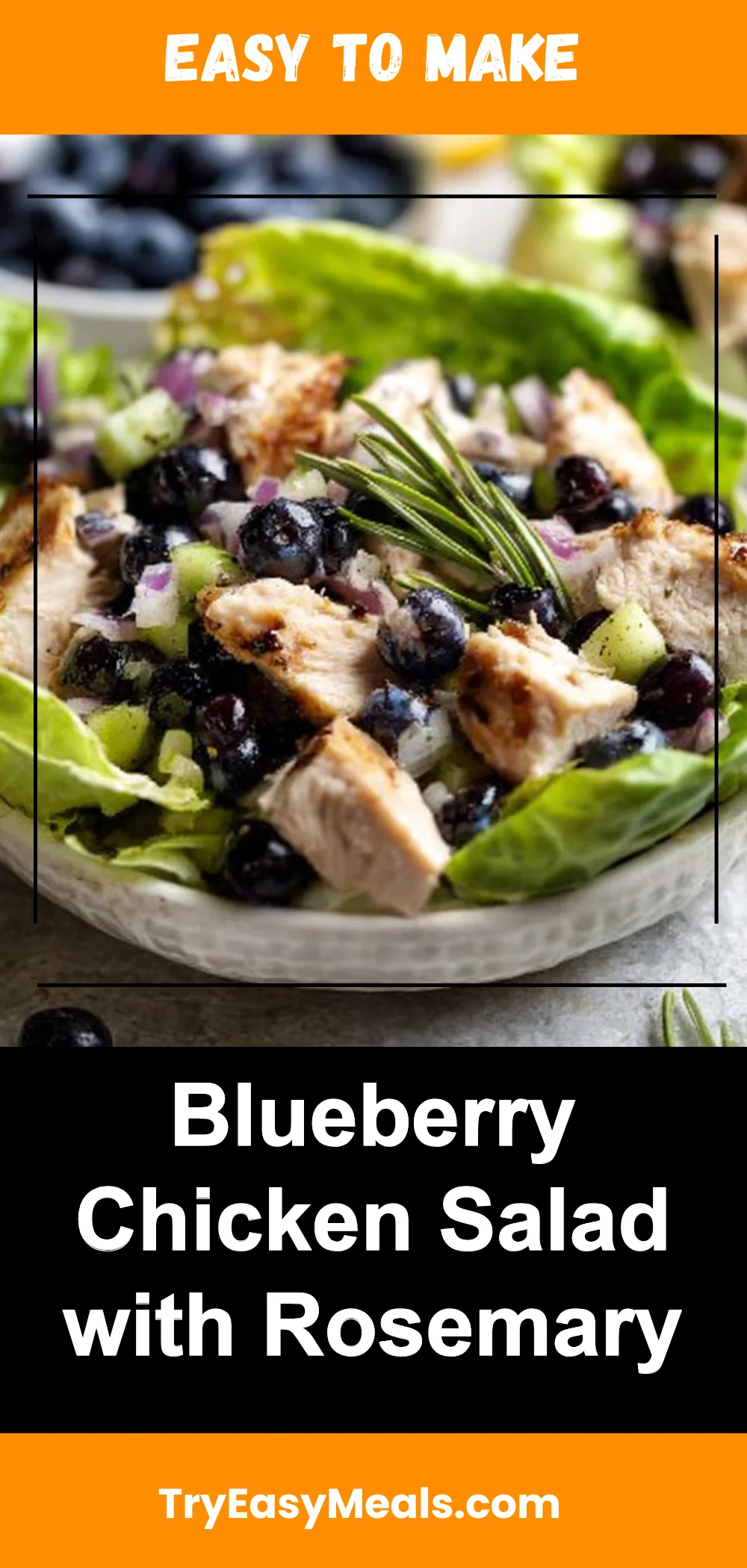 Blueberry Chicken Salad with Rosemary